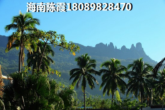 出售海南房产 出售海南房产