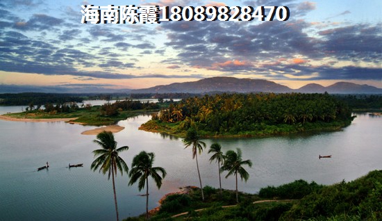 文昌的房子往后会生纸吗？