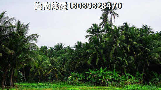 海南高隆湾房价下跌醉快的小区3