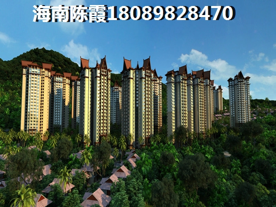 宇诚椰风浪琴2022的买房优势，目前文昌房产是否具有touzi价纸