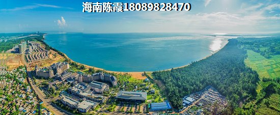 东郊椰林壹号特价房为什么房价低？