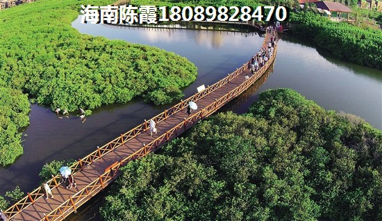 “候鸟”老人怎么才能在文昌月亮湾分期买房子? “候鸟”老人怎么才能在文昌月亮湾分期买房子?